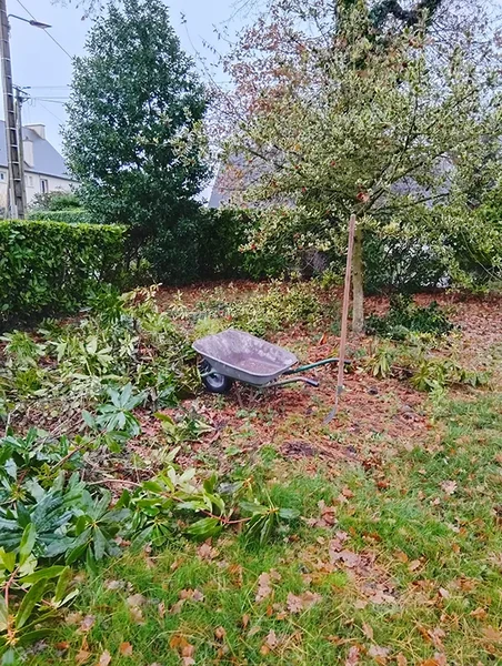 Photo après 1